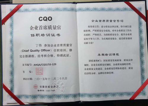 CQO I(y)ϯ|(zh)ӖC(sh)